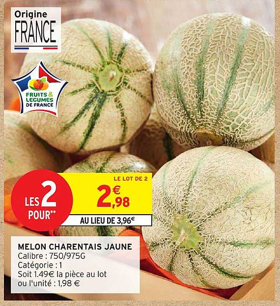 MELON CHARANTEAIS JAUNE