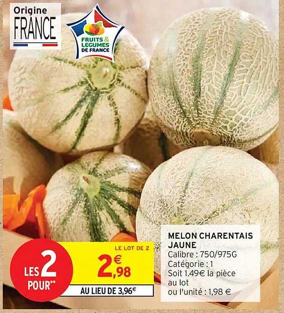 MELON CHARANTEAIS JAUNE