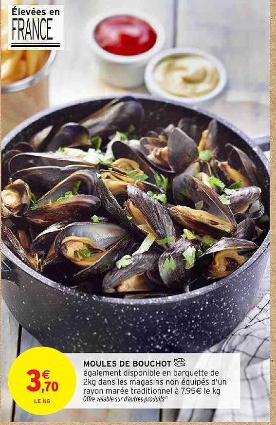 MOULES DE BOUCHOT