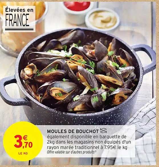 MOULES DE BOUCHOT