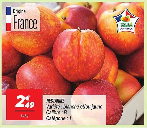 NECTARINE