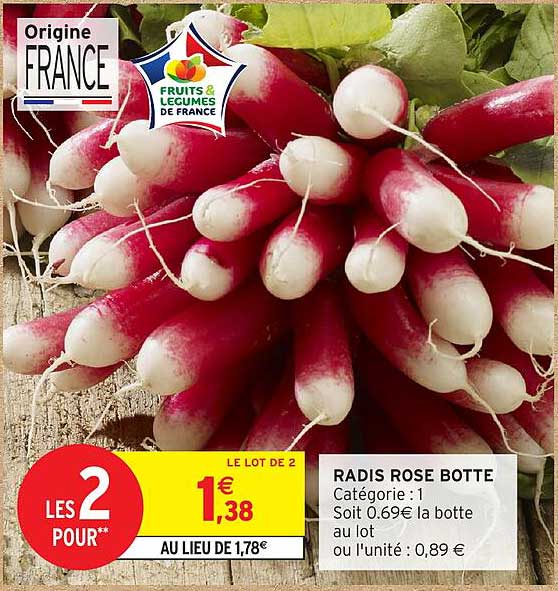 RADIS ROSE BOTTE