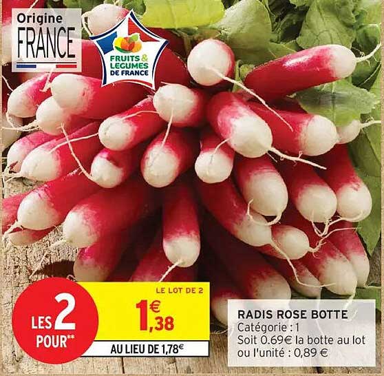 RADIS ROSE BOTTE