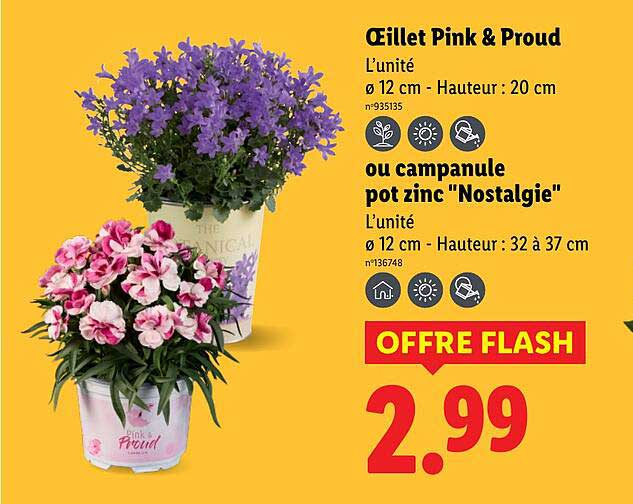 OFFRE FLASH