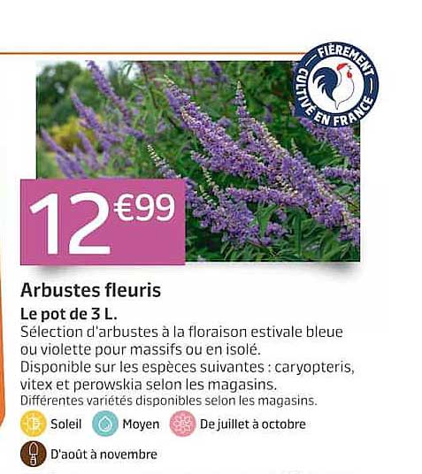 Arbustes fleuris