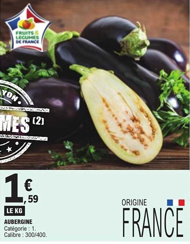 AUBERGINE