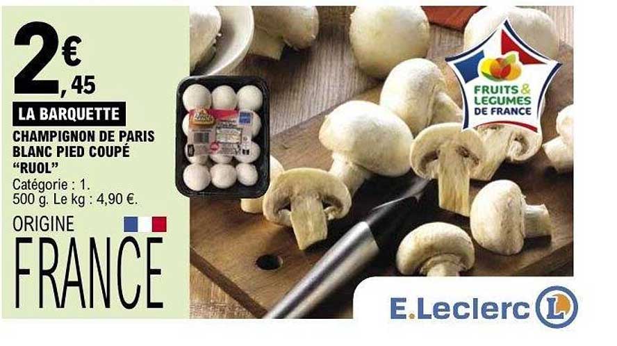 CHAMPIGNON DE PARIS BLANC PIED COUPÉ “RUOL”