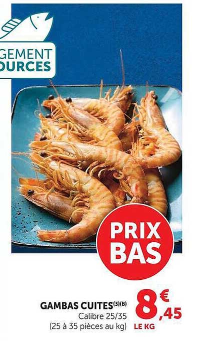 GAMBAS CUITES(3)(B)