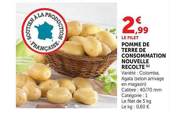 LE FILET POMME DE TERRE DE CONSOMMATION NOUVELLE RECOLTE