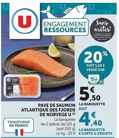 PAVE DE SAUMON ATLANTIQUE DES FJORDS DE NORVEGE U