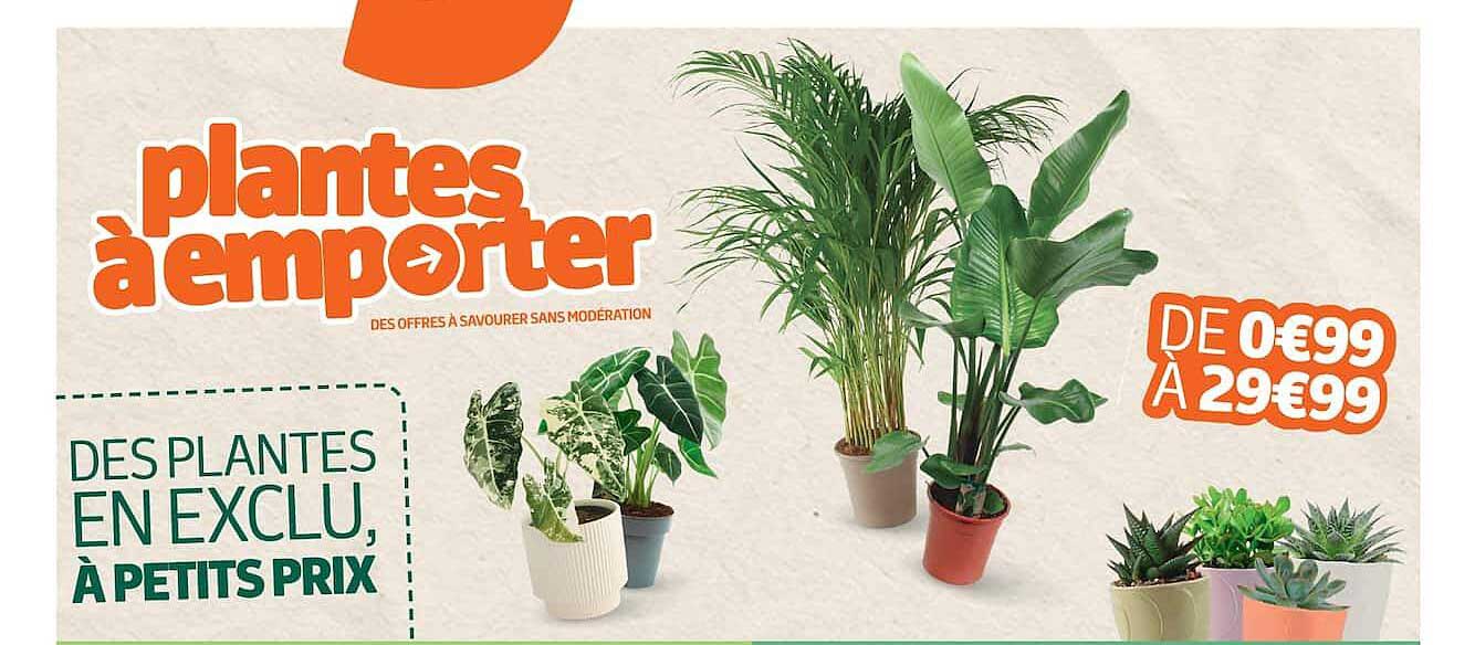 plantes à emporter