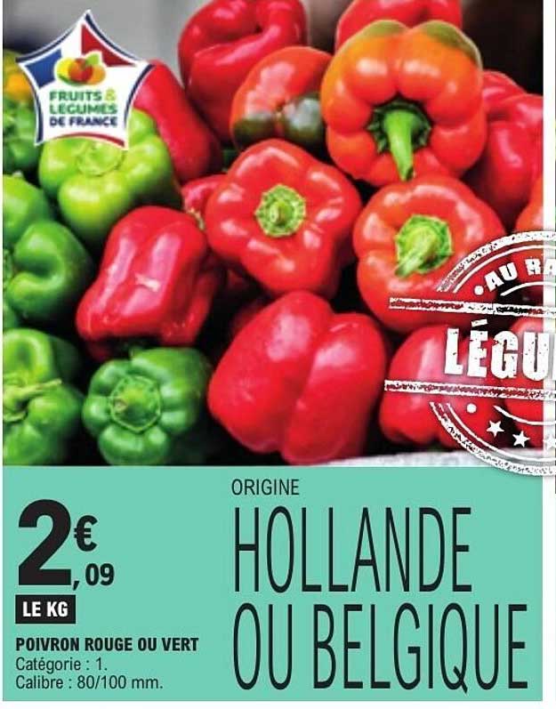POIVRON ROUGE OU VERT