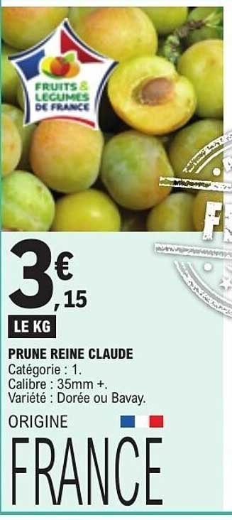 PRUNE REINE CLAUDE