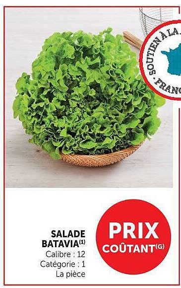 SALADE BATAVIA(1)