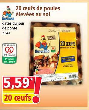 20 œufs de poules élevées au sol