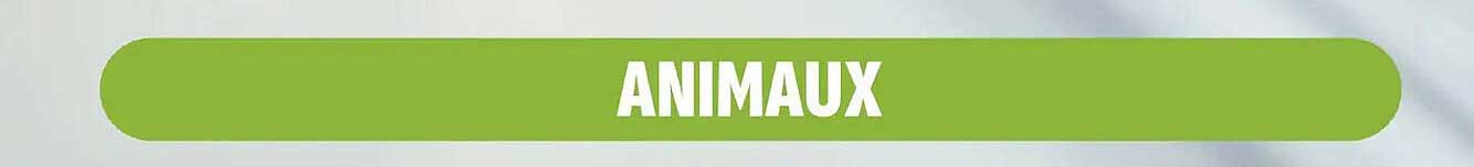 ANIMAUX