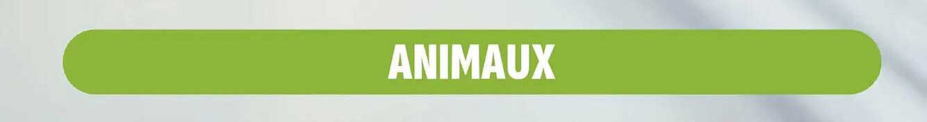 ANIMAUX