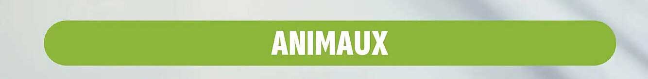 ANIMAUX