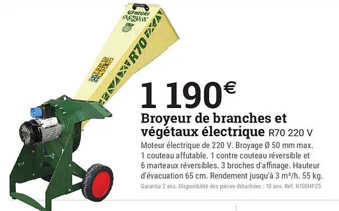 Broyeur de branches et végétaux électrique R70 220 V