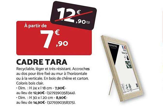CADRE TARA