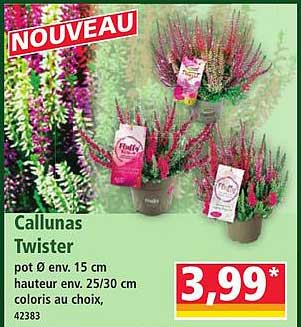 Callunas Twister