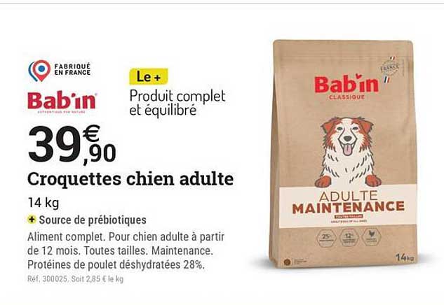 Croquettes chien adulte
