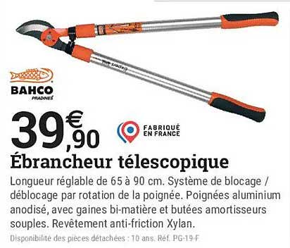 Ébrancheur télescopique