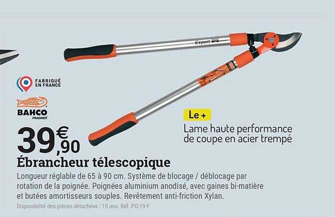 Ébrancheur télescopique