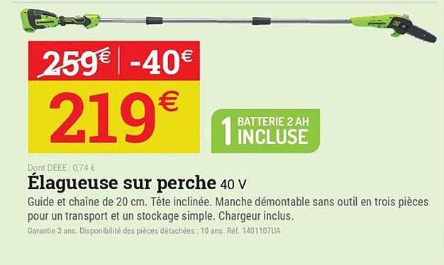 Élagueuse sur perche 40 V