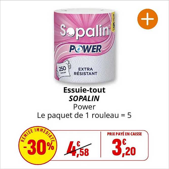 Essuie-tout SOPALIN Power Le paquet de 1 rouleau = 5