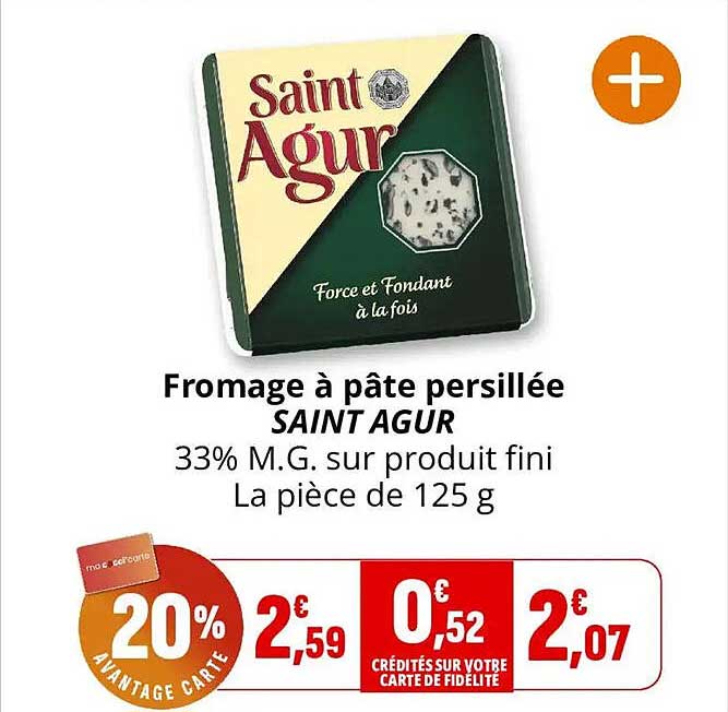Fromage à pâte persillée SAINT AGUR