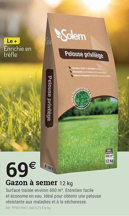 Gazon à semer 12 kg
