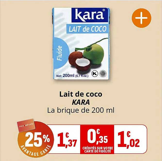 Lait de coco KARA La brique de 200 ml