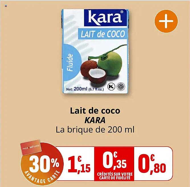 Lait de coco KARA La brique de 200 ml