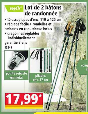 Lot de 2 bâtons de randonnée