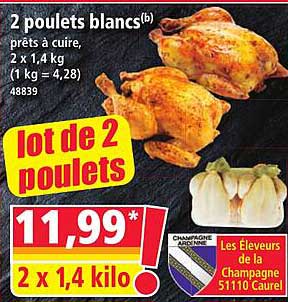 Lot de 2 poulets
