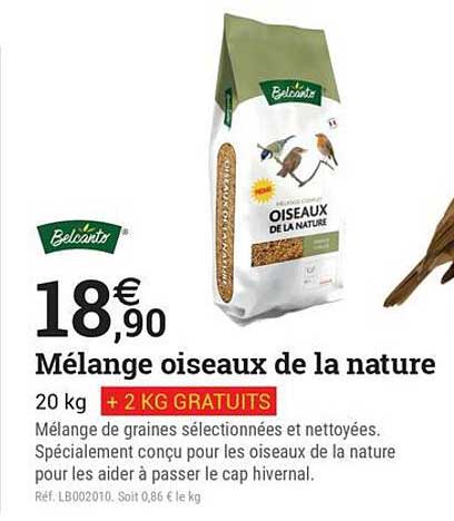 Mélange oiseaux de la nature