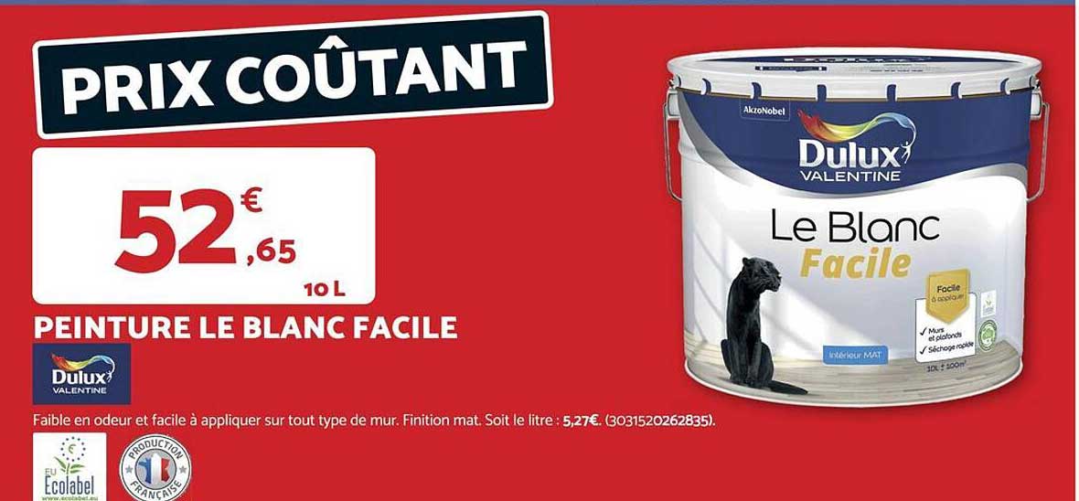 PEINTURE LE BLANC FACILE