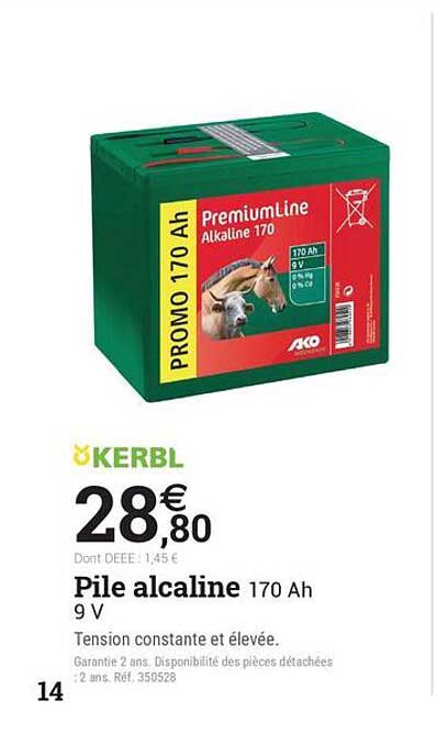 Pile alcaline 170 Ah 9 V