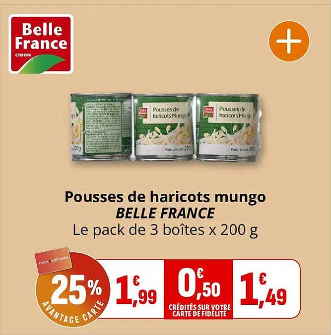 Pousses de haricots mungo BELLE FRANCE Le pack de 3 boîtes x 200 g