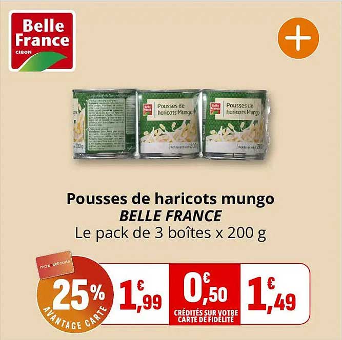 Pousses de haricots mungo BELLE FRANCE Le pack de 3 boîtes x 200 g