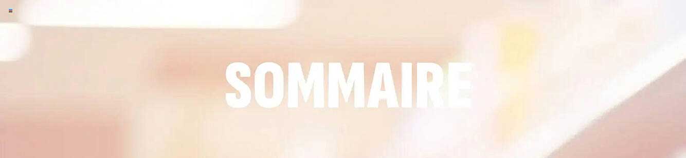 SOMMAIRE