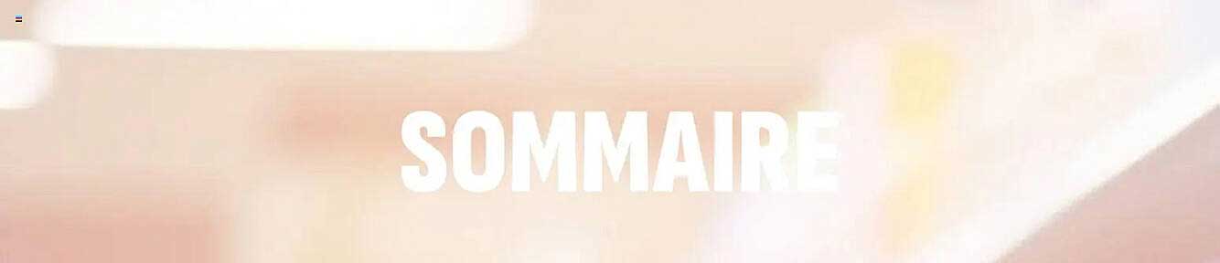 SOMMAIRE