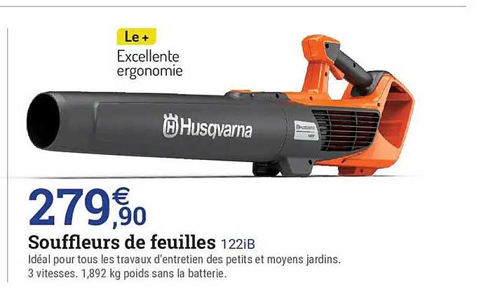 Souffleur de feuilles 122iB