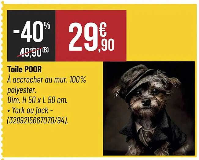 Toile POOR