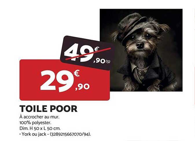 TOILE POOR