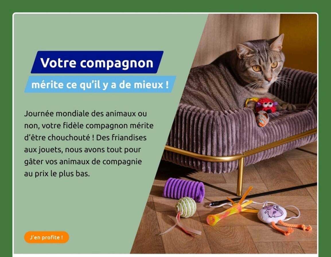 Votre compagnon mérite ce qu'il y a de mieux !