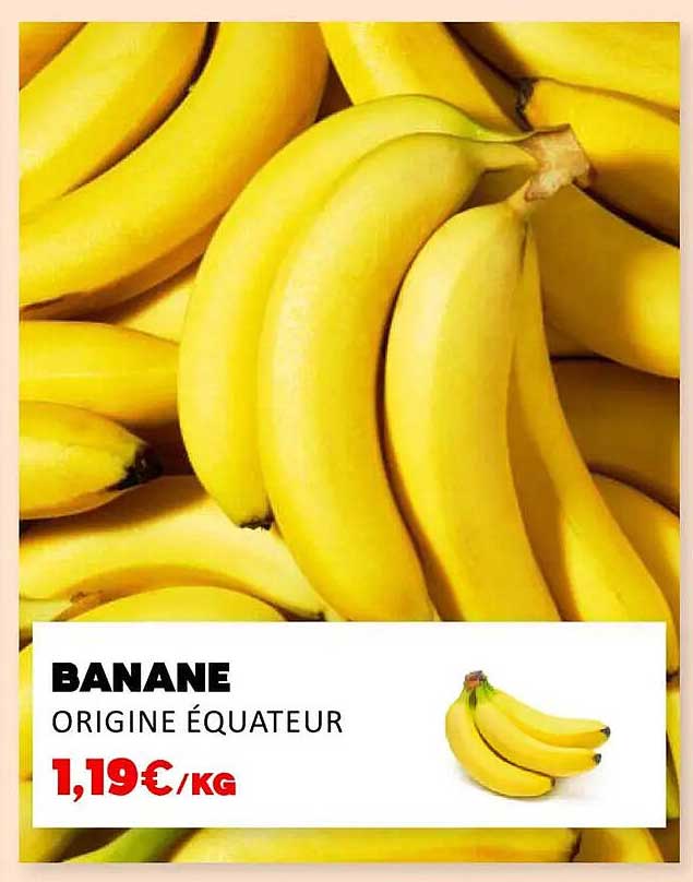 BANANE ORIGINE ÉQUATEUR