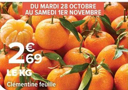 Clementine feuille