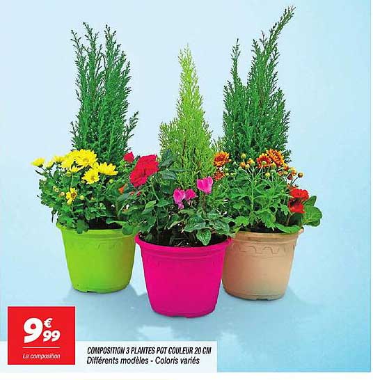 COMPOSITION 3 PLANTES POT COULEUR 20 CM